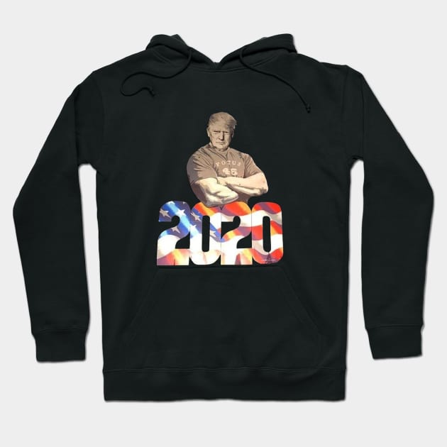 go to usa 2020 Hoodie by culture